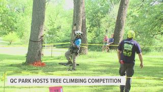 Iowa Arborists Association holds annual tree climbing competition