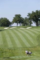 3,500 petunias and counting: Flora adds flair to John Deere Classic