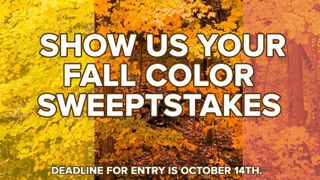 Contest Rules: Show Us Your Fall Colors
