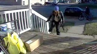 Have you seen these porch pirates?