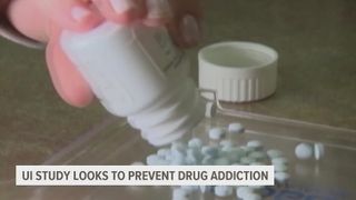 University of Iowa study looks to prevent drug addiction